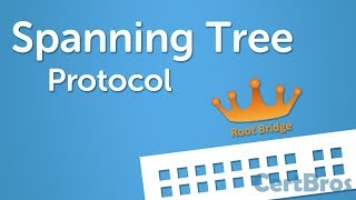 Spanning Tree Protocol Explained  Step by Step [upl. by Yllime]