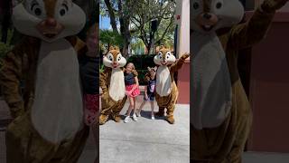 Meeting Chip and Dale 🥰 disneyworld hollywoodstudios [upl. by Colby]