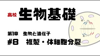 【生物基礎】8 複製と体細胞分裂 [upl. by Zohar]