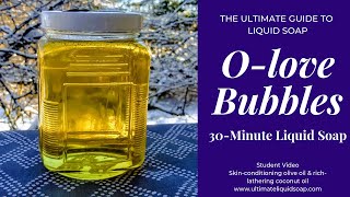 DIY Easy 30Minute Liquid Soap  Recipe Included  The Ultimate Guide to Liquid So [upl. by Cherish]