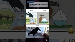 The evolution of crows over the years shorts mouseandbin [upl. by Nnorahs]