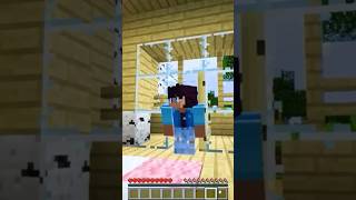 It’s Causing So Much Chaos…  Ein  Minecraft  Aphmau  Pierce  KC  Zane shorts [upl. by Baylor]