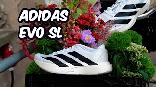 Adidas Adizero Evo SL prime impressioni e caratteristiche [upl. by Ledeen138]