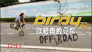 Birdy GT OFFROAD 的憂傷 🇹🇼 騎車趣探險（體驗／故事）RideHolics 041 [upl. by Tybalt107]