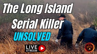 Gilgo Beach Murders  LISK Long Island Serial Killer [upl. by Marji682]