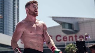 Canelo Alvarez  Training Motivation  Fight Back [upl. by Bonney550]