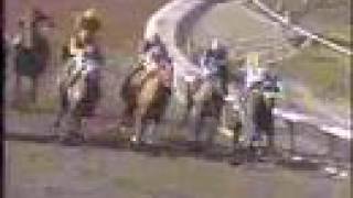 1993 Breeders Cup Classic [upl. by Etka]