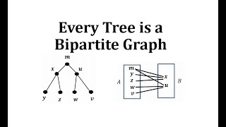 Every Tree is a Bipartite Graph [upl. by Drue]