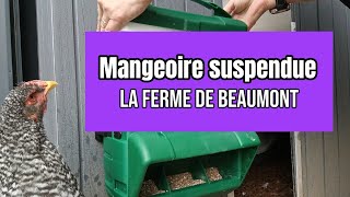 MANGEOIRE A POULE SUSPENDUE LA FERME DE BEAUMONT [upl. by Anauqahc484]