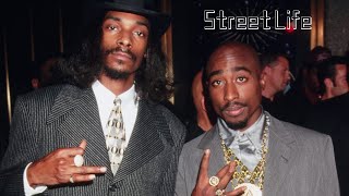 2Pac amp Snoop Dogg  Street Life NozzyE Remix [upl. by Brass]