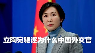 立陶宛为什么驱逐中国外交官？ [upl. by Tare]