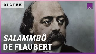 La Dictée géante  quotSalammbôquot de Gustave Flaubert [upl. by Duffie]