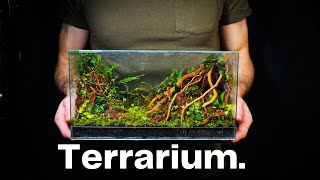 Creating a Miniature Jungle In a Glass Box Nano Terrarium Tutorial [upl. by Annairoc]