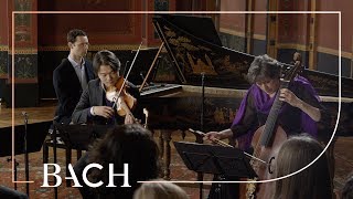 Bach  Trio sonata in G major BWV 1038  Netherlands Bach Society [upl. by Etnod224]