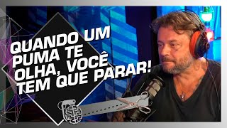 O QUE FAZER AO ENCONTRAR UM ANIMAL SELVAGEM  RICHARD RASMUSSEN  Cortes do Inteligência Ltda [upl. by Northrup519]