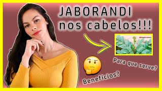 Benefícios do JABORANDI para os CABELOS Elisa Miranda [upl. by Waugh47]