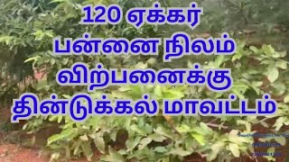 120 acre farm sales in Dindigul district [upl. by Erickson]