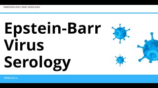 EpsteinBarr Virus Serology  Heterophile Antibodies [upl. by Ahsyek]