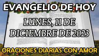 Evangelio de hoy Lunes 11 de Diciembre de 2023  Hoy hemos visto cosas increíbles [upl. by Kala245]