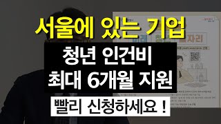 서울 기업 대상 청년 인건비 최대 6개월 지원 사업  D7 빨리 신청해보세요🔥  미래청년일자리 [upl. by Eisdnyl]