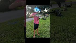 10 pound monster bass 😳😱 fishing fish memes [upl. by Eslek]