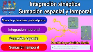 Integración sináptica  Sumación espacial y temporal  Sumación neuronal [upl. by Ky857]