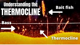 Understanding the Thermocline How to find bass and baitfish [upl. by Janey]