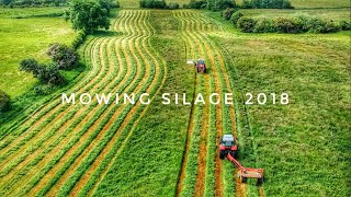 Silage 2018 in Ireland  Mowing with MASSEY’S [upl. by Poppy]