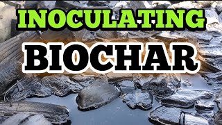 The Easy method for inoculating BIOCHAR [upl. by Balkin]