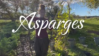 Asparges 🌱👩🏻‍🌾 [upl. by Leirbma]