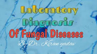 Microbiology lectureLaboratory Diagnosis of fungal diseasesFungal IdentificationMycology [upl. by Airemaj]