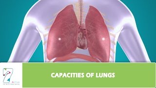 CAPACITIES OF LUNGS [upl. by Shelden]