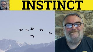 🔵 Instinct Meaning  Instinctive Defined  Instinctual Examples  Instinct  Basic GRE Vocabulary [upl. by Moorish292]