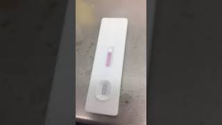 JOYSBIO SARSCOV2 Antigen Rapid Test Kit  Field Video from EU User [upl. by Udela204]