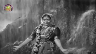 Chitapata Chinukulu Songs  Chitapata Chinukulu Full Video Song  Aatma Balam Telugu Movie  ANR [upl. by Llywellyn419]