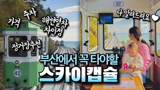 부산 스카이캡슐 총정리  해변열차 차이점 미포 정거장 추천 주차 가격 꿀팁 [upl. by Roht]