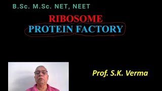 RIBOSOME STRUCTURE AND FUNCTION [upl. by Aneer]