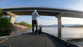 JUNK FISHING Roosevelt Lake Arizona [upl. by Nylrebma]