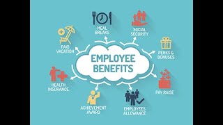 HR Basics Employees Benefits [upl. by Epillihp90]