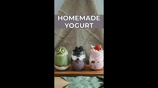 Top 5 Reasons To Make Yogurt At Home [upl. by Strephon72]