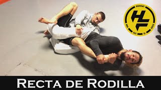 BJJ 🥋  Llave RECTA de RODILLA 🦵 Kneebar Jiu Jitsu [upl. by Trainor]