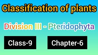 PteridophytaClass9 chapter6science part 2 [upl. by Salvador]