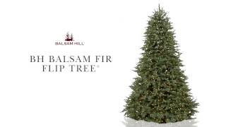 Balsam Hill™ Balsam Fir  Easy Plug Technology [upl. by Zosima]