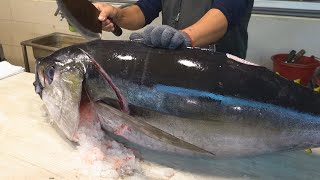 Amazing skill！Bigeye tuna cutting MASTER  How to cut bigeye tuna for sashimi  驚人的技巧！大目鮪魚切割大師 [upl. by Pasahow783]