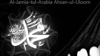 Naat Qaseeda Molana Anas Younus Mere Aqa Mery Mery Mola [upl. by Nuhsal]