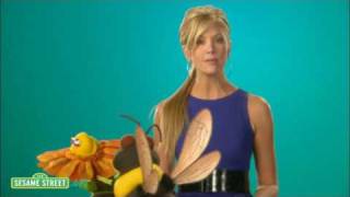 Sesame Street Nancy Odell Pollinate [upl. by Ahsenal596]