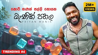 Gem Mining Process in Sri Lanka  Priyan Manik  TRIP PISSO [upl. by Roberta]