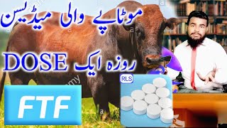 Medical Feed of a Heavy Bull  Medicine for Meat Production  Janwer ko Mota Karne Kaliya Medicine [upl. by Taggart]