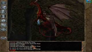 Paladin solo Vs Red Dragon Firkraag [upl. by Dnomyad61]