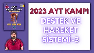 Destek Hareket Sistemi  3 AYT Biyoloji Kampı Konu Anlatımı 11Sınıf 2024 Tayfa [upl. by Wake210]